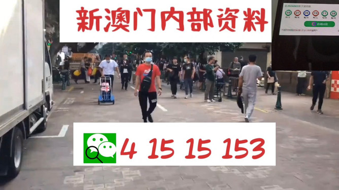 质问,新澳门一肖一马一特一中和77777888管家婆四肖四码揭秘